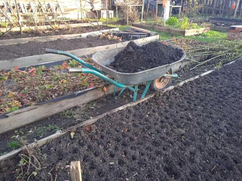 Торфогрунт — универсальная среда для здорового роста растений