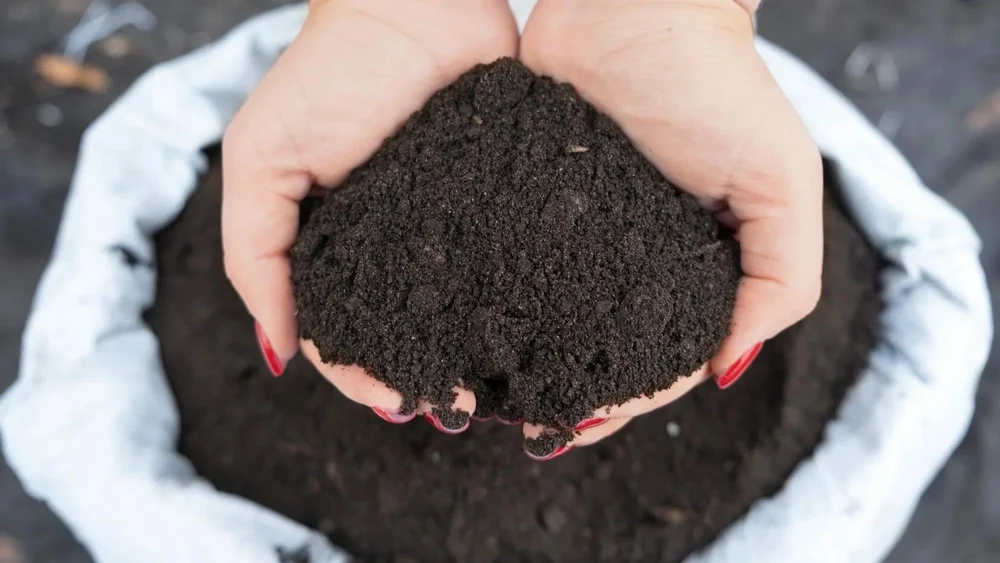 Торф — природный разрыхлитель и накопитель влаги для вашего участка