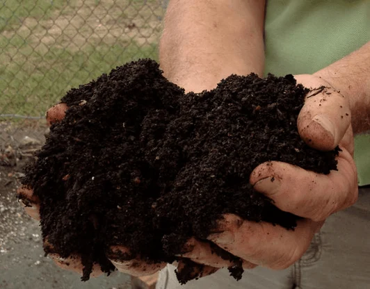 Чернозем [Хит!]