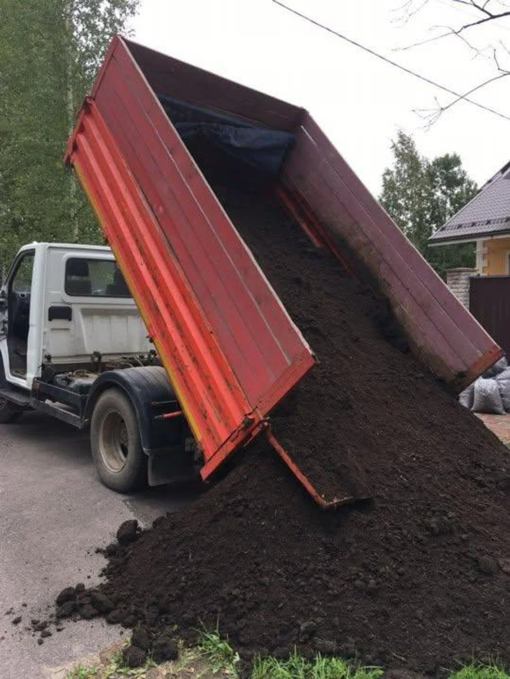 Торфогрунт — универсальная среда для здорового роста растений
