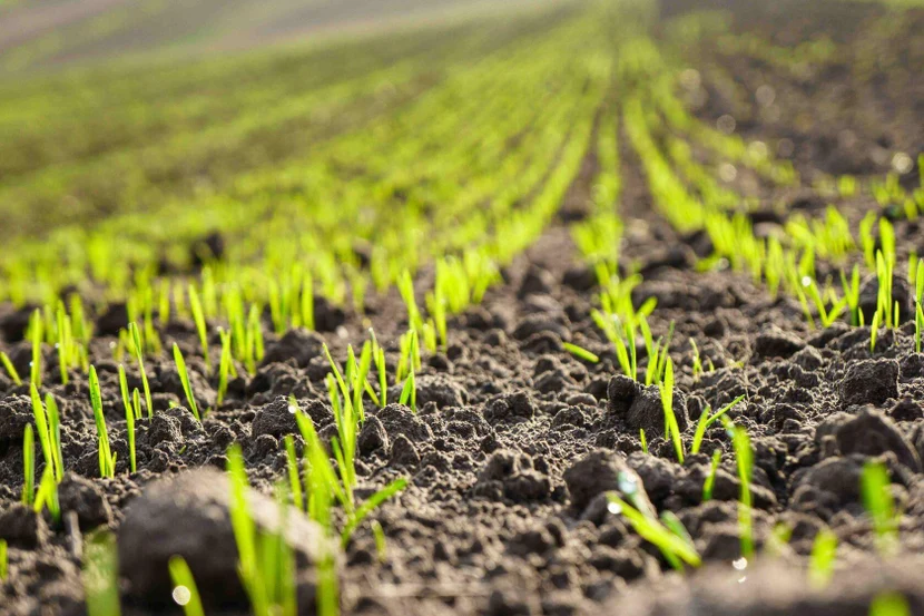 Отправьте заявку прямо сейчас!